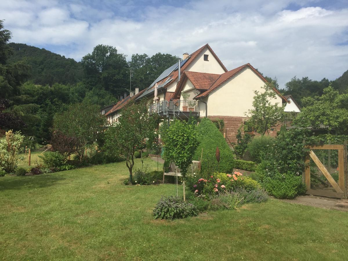 Ferienhaus Werkhof Schönau 외부 사진